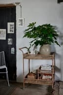 Norah trillebord